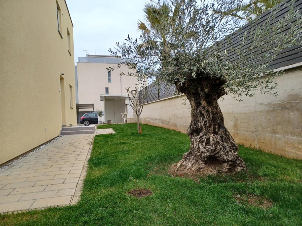 Apartments Leon 2 Novigrad Istria Dış mekan fotoğraf